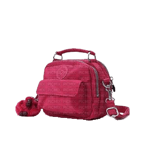 Kaz_Creations Red Pink Bag Bags - Free PNG