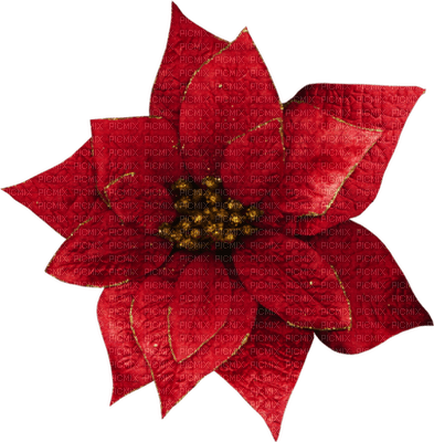 flower of christmas_ Christmas_BlueDREAM 70 - PNG gratuit