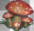 mushroom spark - GIF animado grátis