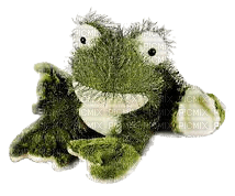 Webkinz Frog Plush - gratis png