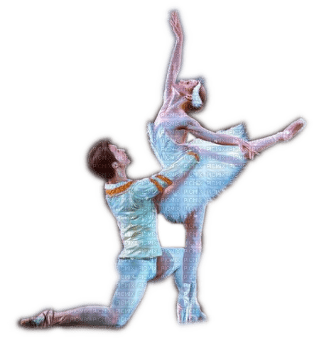 Rena Ballett Paar Dancer Tänzer - png ฟรี