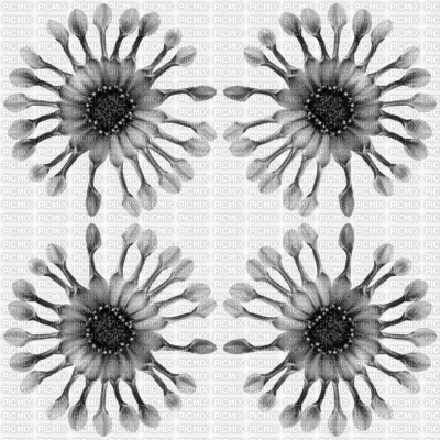 black white kaleidoscope gif - GIF animado gratis