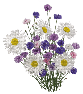 Flowers purple bp - bezmaksas png