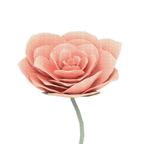 fleur  gif - Bezmaksas animēts GIF