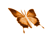 Butterfly, Butterflies, Insect, Insects, Deco, Orange, GIF - Jitter.Bug.Girl - Gratis animerad GIF