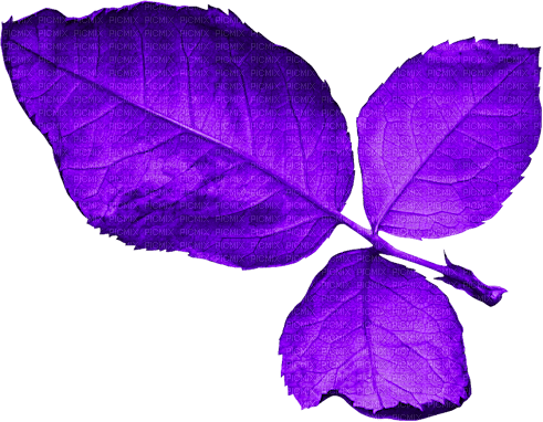 kikkapink deco scrap purple leaves leaf - png ฟรี
