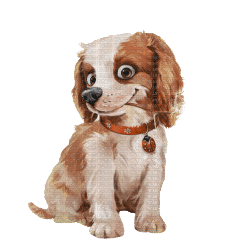 Puppy - GIF animate gratis