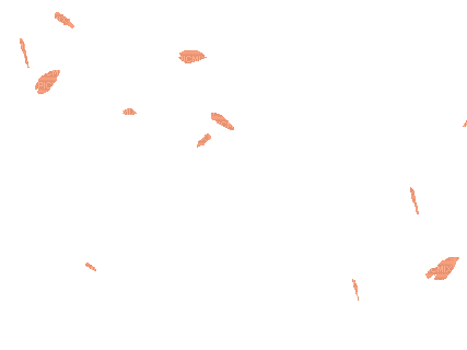 orange pink falling petals dolceluna - Безплатен анимиран GIF