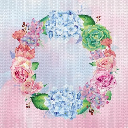 Background Pink Blue Red Green Flower  Frame - 免费PNG