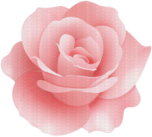pink rose deco - besplatni png
