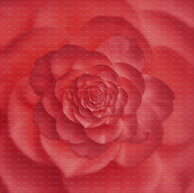 ani-pink flower-496 × 495 - Zdarma animovaný GIF