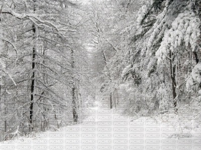 Kaz_Creations Deco  Backgrounds Background Winter - png gratis