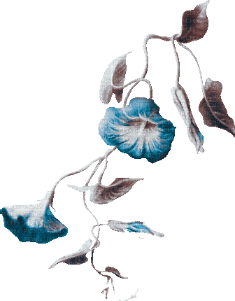soave deco flowers branch animated blue brown - Бесплатный анимированный гифка