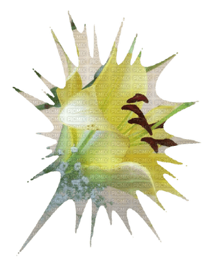fleur jaune.Cheyenne63 - PNG gratuit