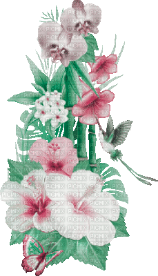 soave deco summer animated  flowers tropical - 無料のアニメーション GIF