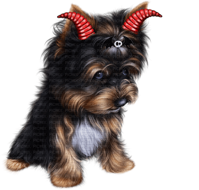 Kaz_Creations Dogs Dog Pup 🐶 - фрее пнг