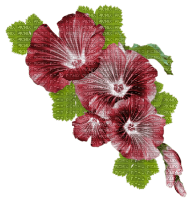 Ladybird - FLOWERS - 免费PNG