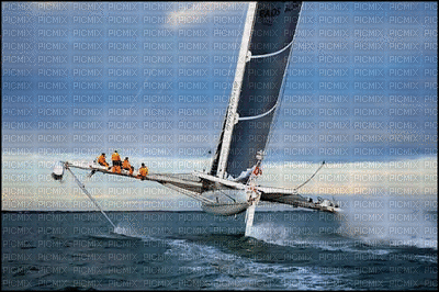 catamaran - GIF animado grátis
