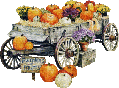 Pumpkin - Ingyenes animált GIF