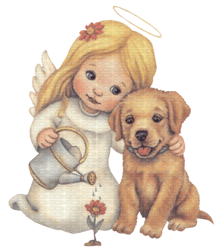 dolceluna baby angel vintage dog - Free PNG