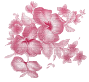 orchidea - Ingyenes animált GIF