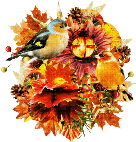 Autumn - Deco - ücretsiz png