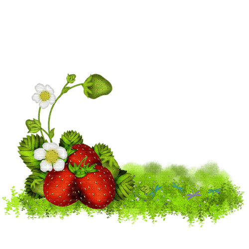 Fraise chemin - Free PNG