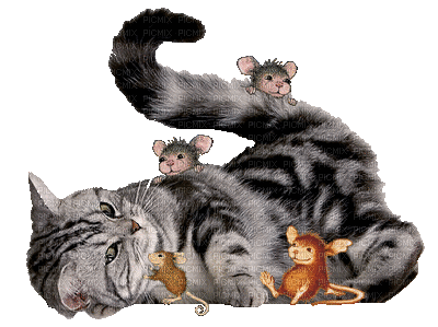 cat  mouse gif chat souris - GIF animé gratuit