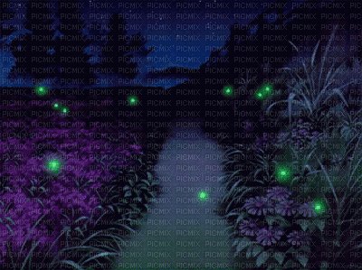 night places - Безплатен анимиран GIF