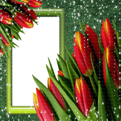 Kaz_Creations Backgrounds Background Frame Flowers - δωρεάν png