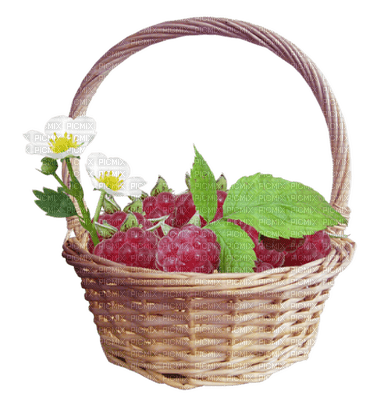 Basket Flower Green Raspberry - Bogusia - PNG gratuit