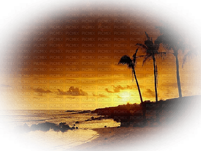 Background - PNG gratuit