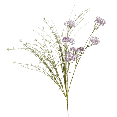 dried flowers - PNG gratuit