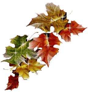 Herbstblätter - Gratis animeret GIF