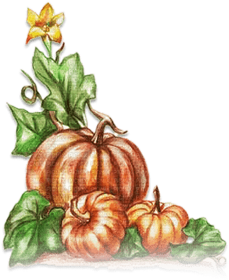 soave deco autumn pumpkin thanksgiving corner - png gratuito