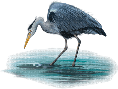crane birds bp - PNG gratuit