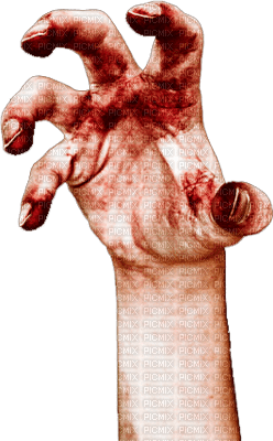 hand - Free PNG
