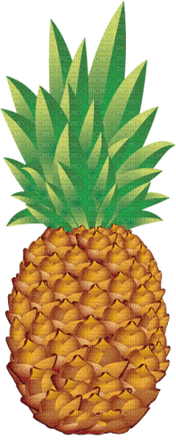 ananas milla1959 - ilmainen png