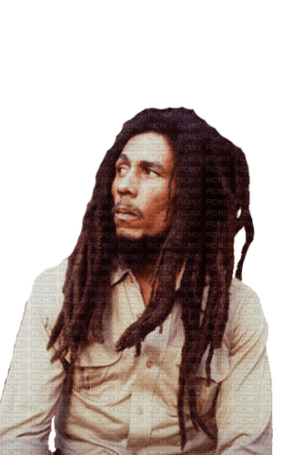 Bob Marley profil G - nemokama png