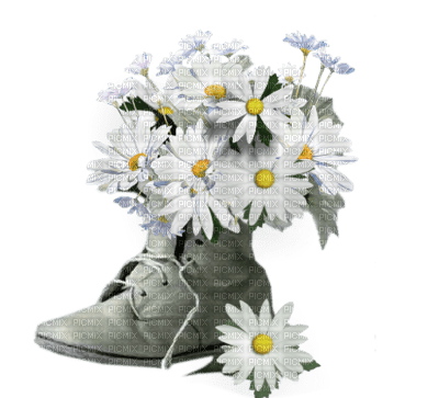 chaussures fleurs - 無料png
