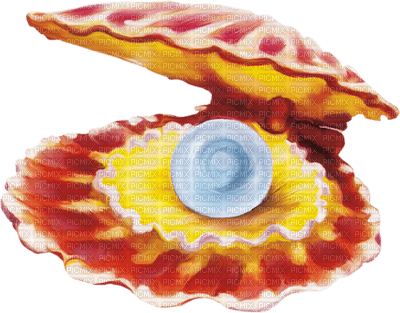 Kaz_Creations Deco Shells Shell - gratis png