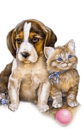 perro i gato transparentes dubravka4 - PNG gratuit