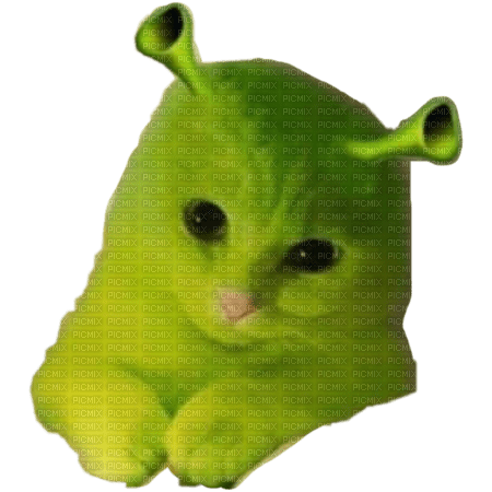 Shrek cat - Free PNG