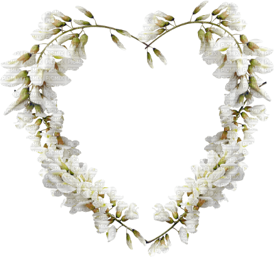heart of flowers - PNG gratuit