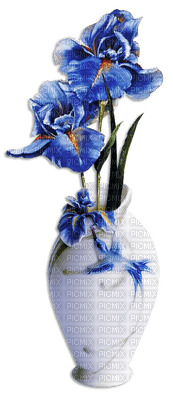 minou-flower-Iris-blommor-Iris - PNG gratuit