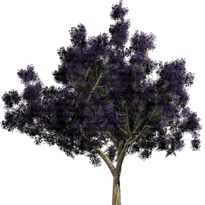Kaz_Creations Trees Tree Colours - PNG gratuit