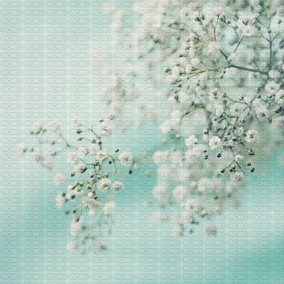 minou-bg-flower - 無料png