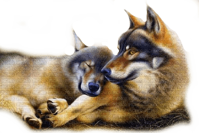 wolf bp - Free PNG