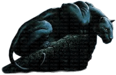 panthère noire - Безплатен анимиран GIF