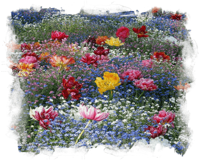 Kaz_Creations Garden Deco Flowers - 免费PNG
